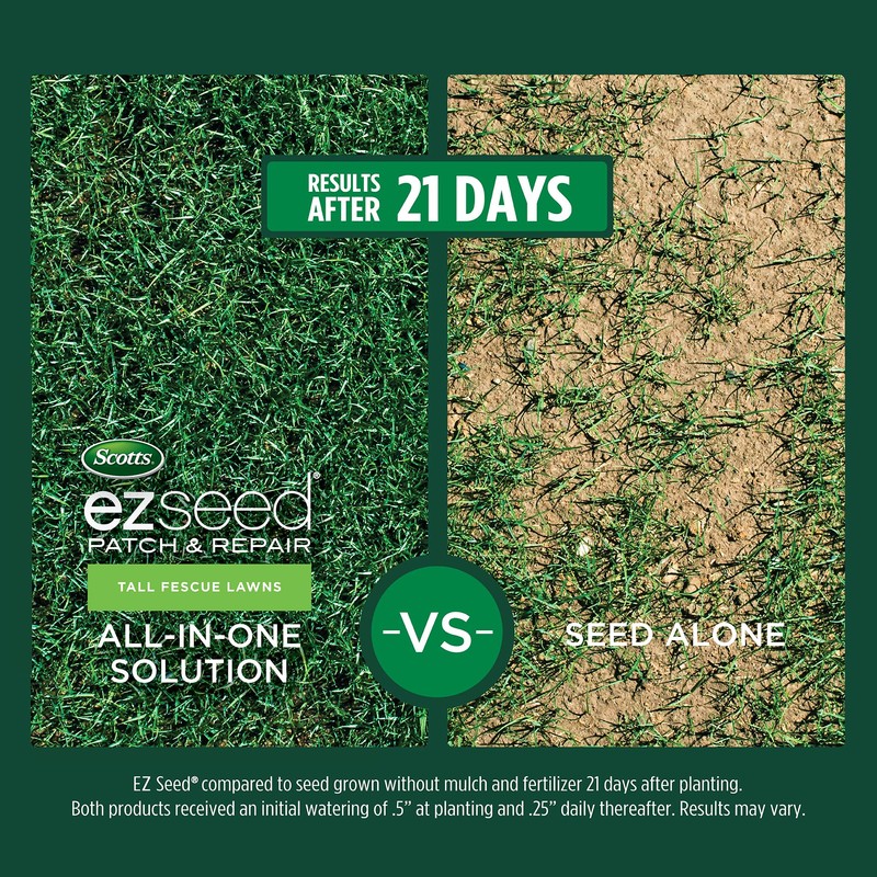 Scotts EZ Seed Patch & Repair Tall Fescue Lawns Combination
