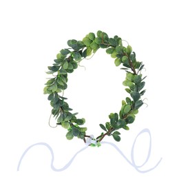 Frcolor Bridal Hair Accessories, Garland, Flower Crown, Hair Accessories, Headdress, Hair Ornament, Photo Shoot Dance, Costume Decoration, Green Leaves, Christmas, Wedding, Party, Bride, plastic,