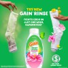Gain Rinse and Renew Fabric Softener 48 Fl Oz Odor
