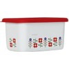 Fuji Hollow Mysa Deep Shape Square Container L Red MY-DL.R