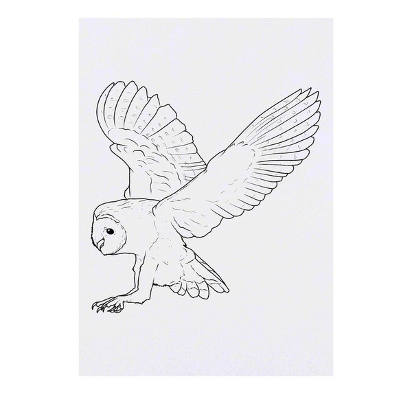 Azeeda 'Schleiereule' Temporäres Tattoo - Hautfreundlicher & Ungiftiger Abziehbild ·