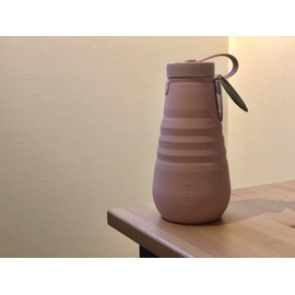 Stojo 20oz/592ml Water Bottle (carnation)