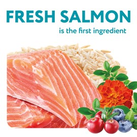 OPtimeal Dry Dog Food for Toy Breeds - Proudly Ukrainian - Tasty Dog Food Dry Recipe with Skin and Digestive Support for Adult Small and Toy Breed Dogs (3.3 Pound (Pack of 1), Salmon & Brown Rice)