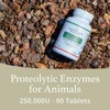 SerraPet Serrapeptase 250,000IU 90 Tablets