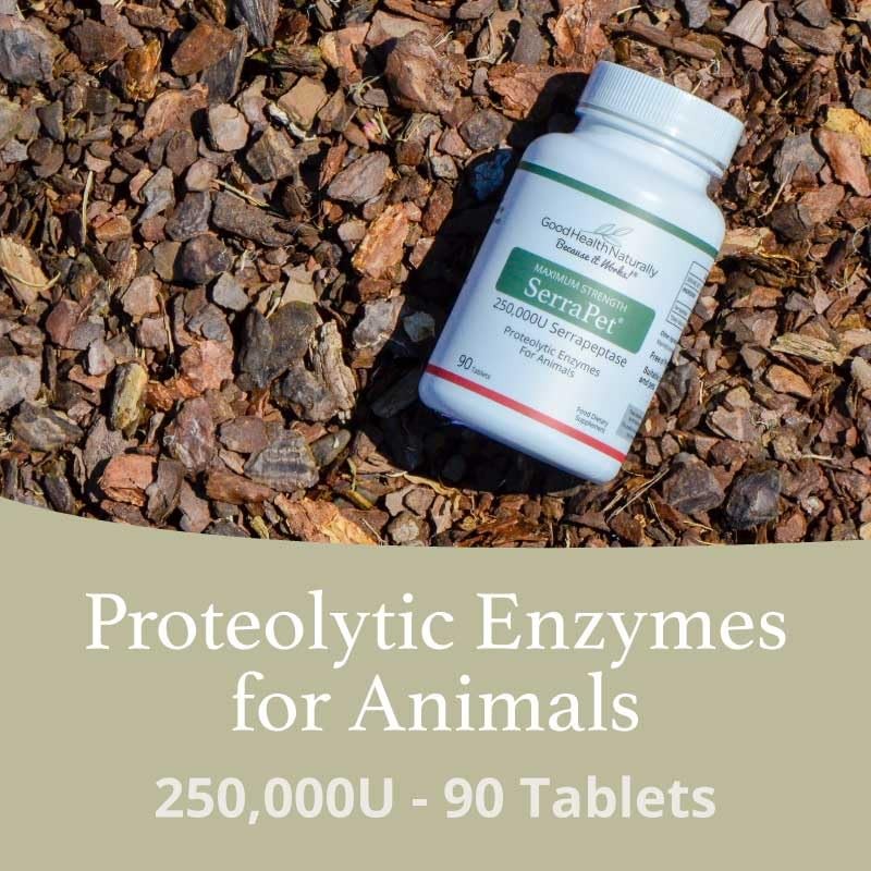 SerraPet Serrapeptase 250,000IU 90 Tablets