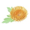 Sizzix Set by Thinlits Cutting Dies 5PK Chrysanthemum by Kath