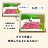 [Complete Product with Script] Sketchbook Theater "Let's Find Insects" Mushigashi