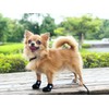 Anifull Anisapo Knuckle HERO L Size Black