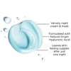 Vichy Aqualia Thermal Replenishing Night Cream 2.54 Fl. Oz.