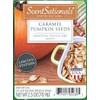ScentSationals Caramel Pumpkin Seeds Wax Cubes