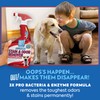 OUT! PetCare Pet Odor & Stain Remover Spray, Carpet &