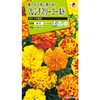 Takii Seeds Flower Seeds French Marigold Bonanza Mixed
