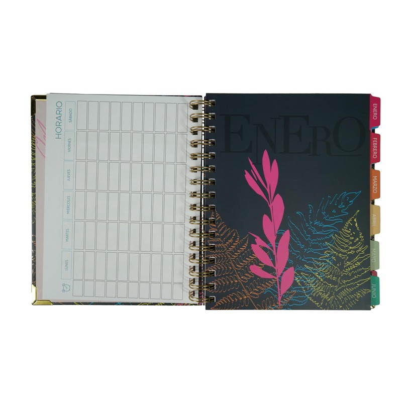 School Diary Page by Day | Ideal for Teachers and