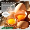 COOHGRUBS Dried Mealworms for Chickens, 100% Natural Premium Protein Chicken