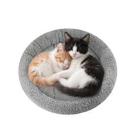 LESYPET Round Cat Bed for Cats Small Dogs, 19'' W×2'' H Cat Donut Beds for Indoor Cats Raised Pillow Pet Mat Non-Slip Bottom Machine Washable, Grey