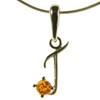 Baltic amber and sterling silver 925 alphabet letter t pendant