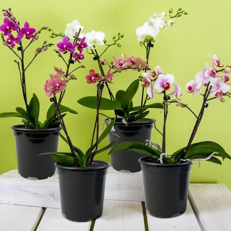 RAOOKIF 100 Pack Black Nursery Pots, 4 Inch Pot for