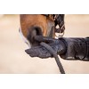 Roeckl Sports Walk Riding Gloves, Leisure Winter Gloves, Black 7
