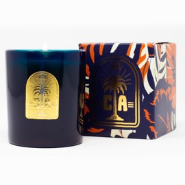 Jackson Vaughn Vintage California Candle - Scents of Coastal Redwood, Salted Sea Air, and Golden Poppy Buds - 11oz Jar - 45 Hour Burn Time