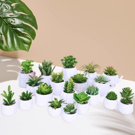 Winlyn 20 Pcs Assorted Artificial Succulents Plants Unpotted Small Green Cactus Echeveria Air Plant Picks Fake Succulents Bulk for Succulent Garden Wreath Floral Arrangement Indoor Outdoor Home Decor