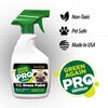 Pre-Mixed Grass and Turf Paint - All Natural Pet-Friendly Lawn