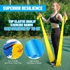 Resistance Bands, Professional Exercise Bands, Physical Therapy Bands for Strength