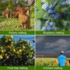Aoipend 25' x 50' Bird Netting Nylon for Garden Fruit