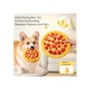 Pizza Flying Disc Toy