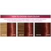 L'Oréal Paris Excellence Creme, 5.6 Rich Auburn (100 Percent Grey
