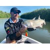 Rapala - Fishing bait BX Skitter Frog Construction balsa/plastic -