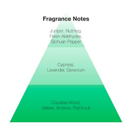 Izod Legacy Green for Men Gift Set – 0.5 Oz Eau de Toilette & 6.8 Oz Body Spray – Bold Woody Aromatic Scent