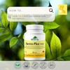 PROVITA Serra Plus Forte - Anti-inflammatory Support by Provita |Serrapeptase
