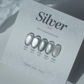 From the Nail Silver Magnetic Gel 5-piece set / 프롬더네일 실버 자석젤 5종 세트