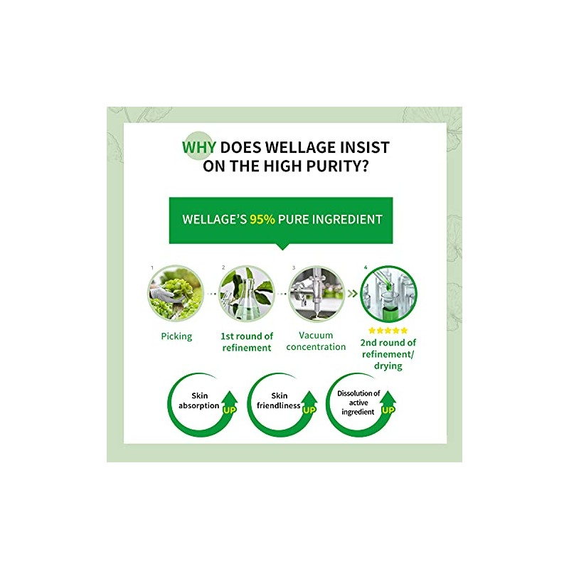 wellage Cica Calming Cream 2.7oz with Cica Calming Ampoule Capsule