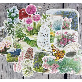 25 pieces Hand-Cut Floral Ephemera From Books, Artist Drawn Fussy Cut Flowers and Plants for junk journal, collage, embellishment, masterboard, paper crafts