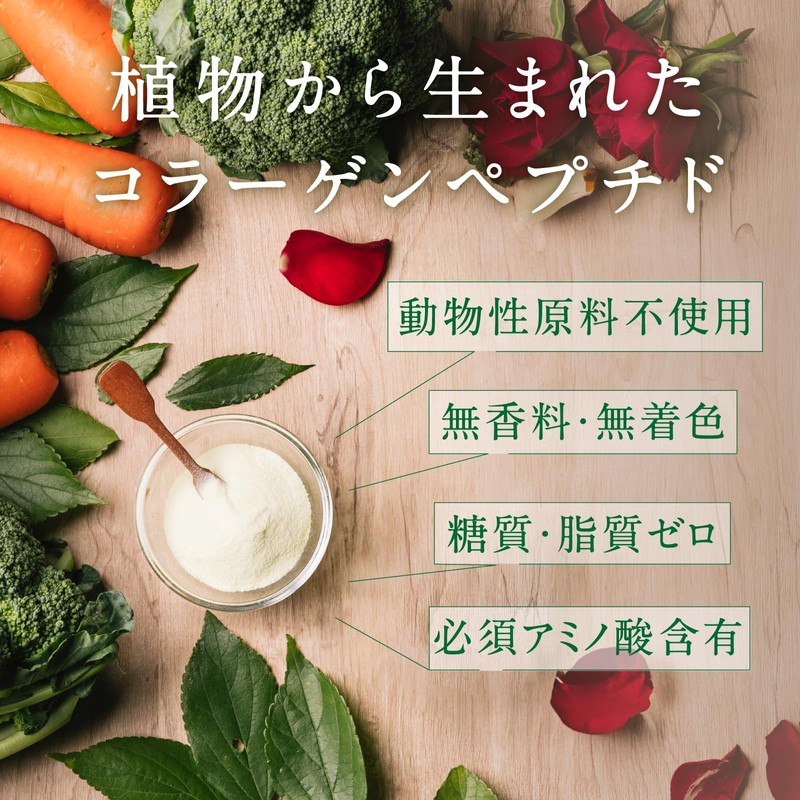 タマチャンショップ こなゆきプラントベースコラーゲン 100g 低分子コラーゲンペプチド 植物性