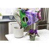 Miracle-Gro African Violet Potting Mix, 8 qt.