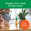 Miracle-Gro Indoor Plant Food, Liquid Plant Food for Houseplants, Snake