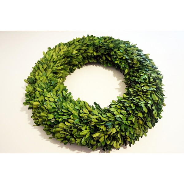 Tradingsmith Preserved Boxwood Wreath 20 in