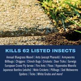 BioAdvanced Complete Brand Insect Killer for Soil and Turf, Concentrate, 40 oz, Outdoor Ant Killer