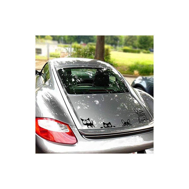 lifepower Cutting Sticker Car Sticker for Car, Motorcycle, Wall, Carry