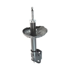 Front Left Strut Assembly Drivers Side Compatible with 2005-2007 Honda Odyssey