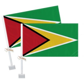 RaymNord 2 PCS Guyana Car Flag,Guyanese National Decor,Two Layer Digital Printed 150D Banner for Car Vechile Truck