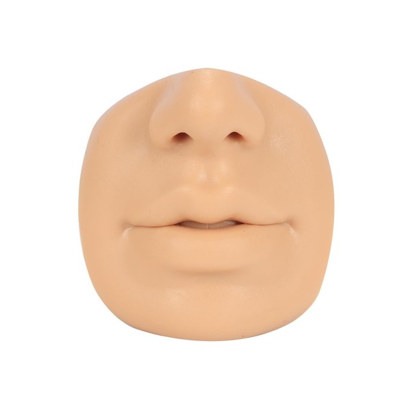 Liifun Soft Silicone Body Parts Model Displays Set, Tongue Mouth