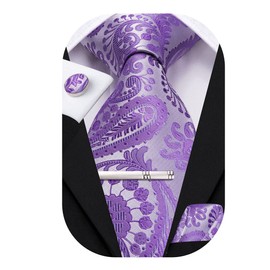 Hi-Tie Mens Tie Set with Pocket Square Cufflinks Silk Ties for Men Silver Tie Clip Set Necktie Prom Wedding Formal,Purple Paisley