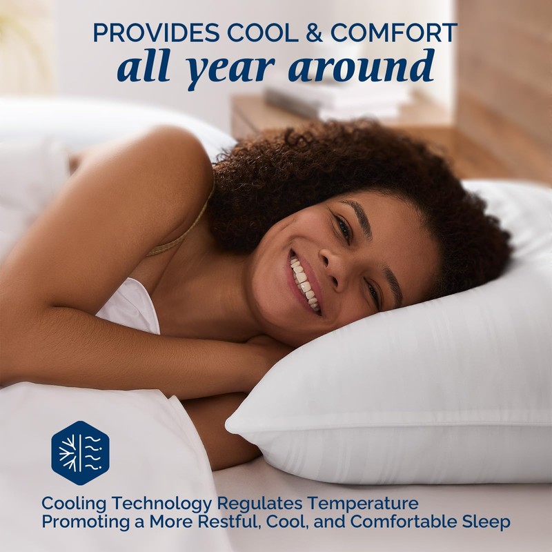 downluxe Goose Feather and Down Pillows - Hotel Collection Feather