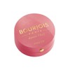 Bourjois Fard Joues 34
