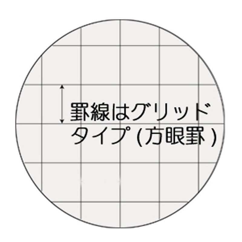 Mplan Loose Leaf Sanrio Characters Cinnamoroll B5 Grid 001641-51