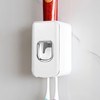 2 Slot Plastic Toothbrush Holder and Toothpaste Dispenser Wall Mounted,