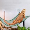 Bearded Dragon Lizard Hammock - Breathable Mesh Lounger Ladder Bearded